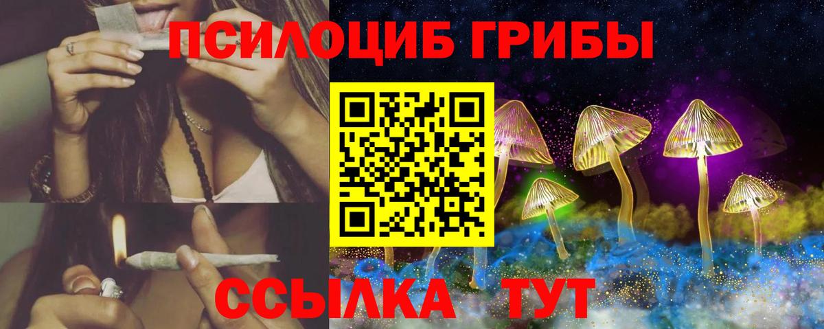 Псилоцибиновые грибы Cubensis Кимры