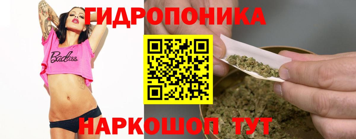 Канабис ГИДРОПОН  Марихуана AK-47  Марихуана Bruce Banner  Кимры  Вход с VPN 